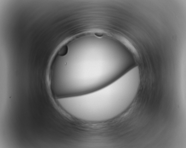 X0000097001084200802081023