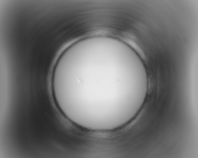 X0000097001086200802081023