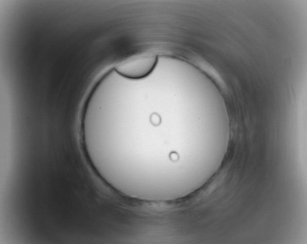 X0000097001087200802081023