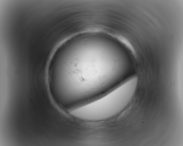 X0000097001088200802081023