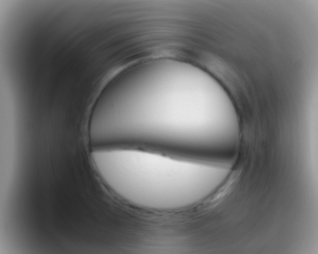 X0000097001089200802081023