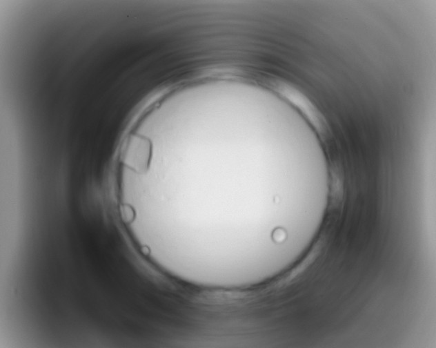 X0000097001090200802081023