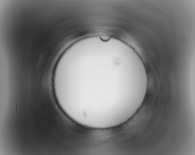 X0000097001091200802081023