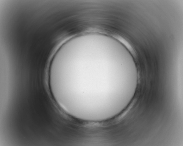 X0000097001094200802081023