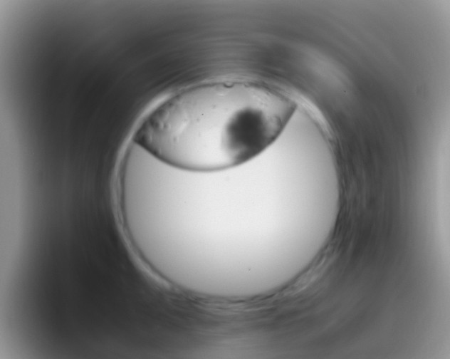 X0000097001095200802081023