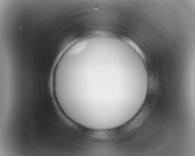 X0000097001098200802081023
