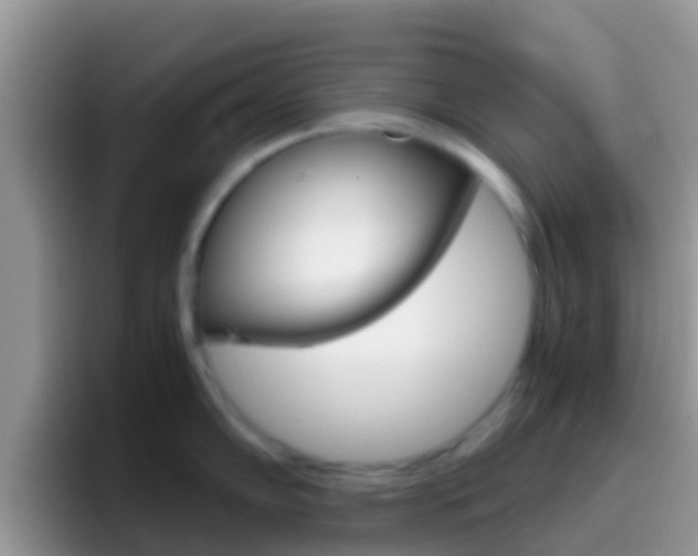 X0000097001102200802081023