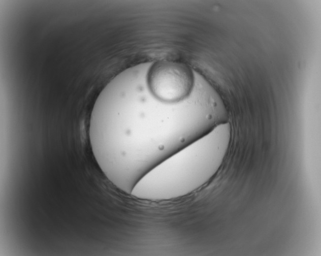 X0000097001106200802081022