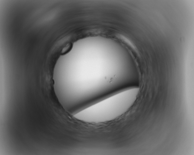 X0000097001111200802081022