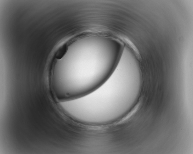 X0000097001114200802081022