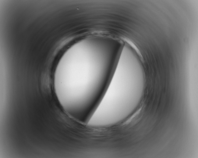 X0000097001115200802081022