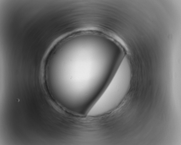 X0000097001116200802081022
