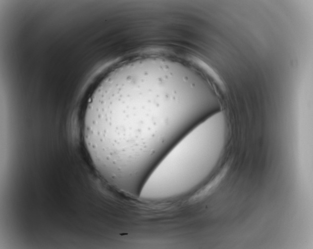 X0000097001117200802081022