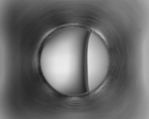 X0000097001119200802081023