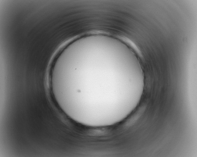 X0000097001125200802081023
