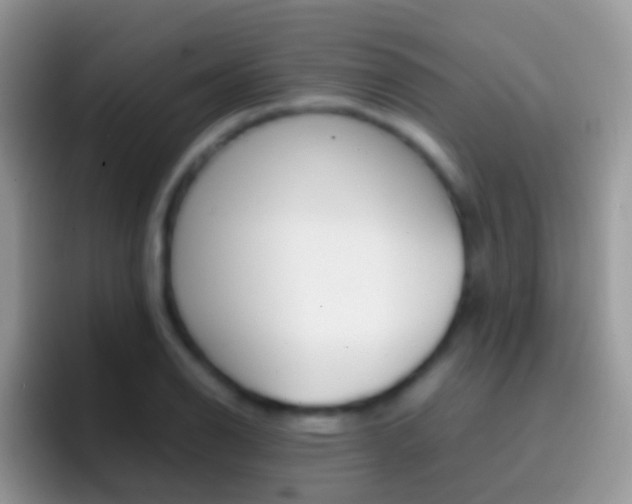 X0000097001126200802081023