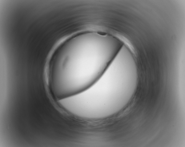 X0000097001128200802081023