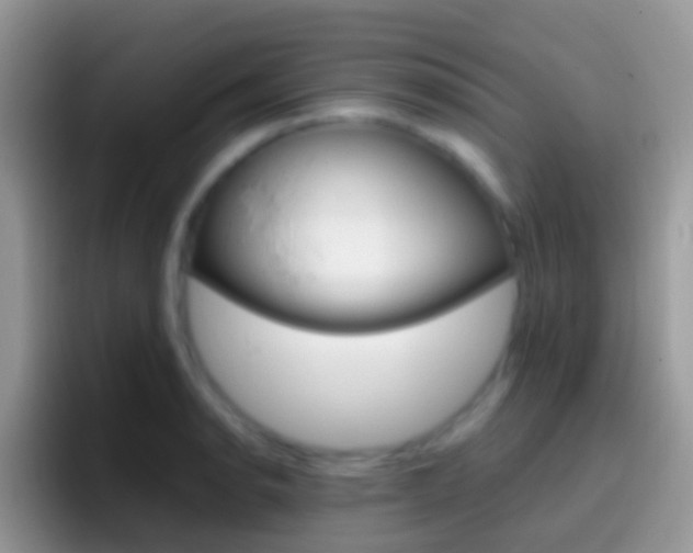 X0000097001134200802081023