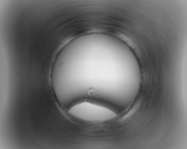 X0000097001137200802081023