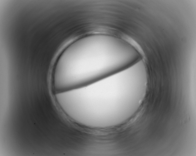 X0000097001138200802081023