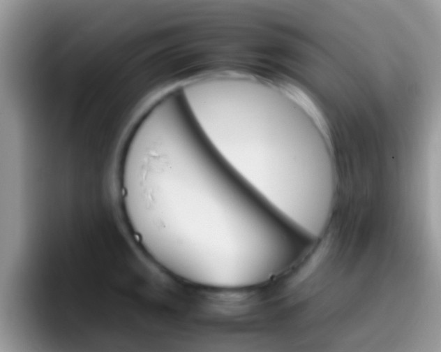 X0000097001141200802081023