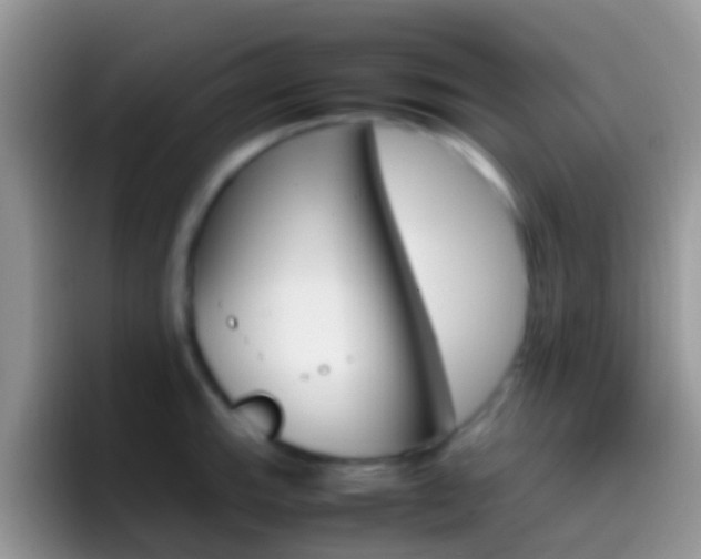 X0000097001143200802081023