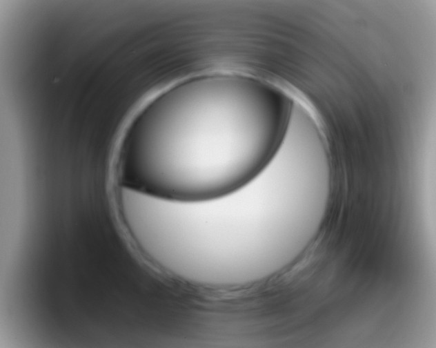 X0000097001144200802081023