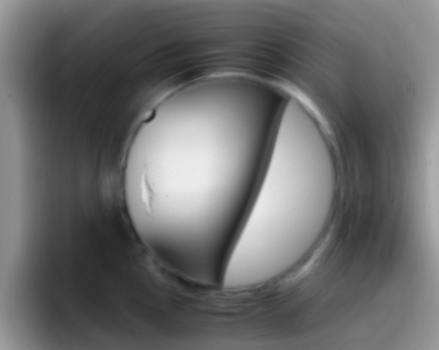 X0000097001145200802081023
