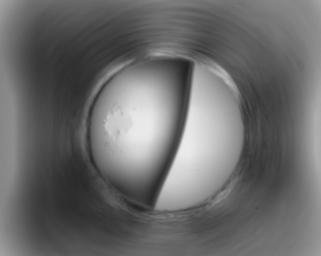 X0000097001146200802081023
