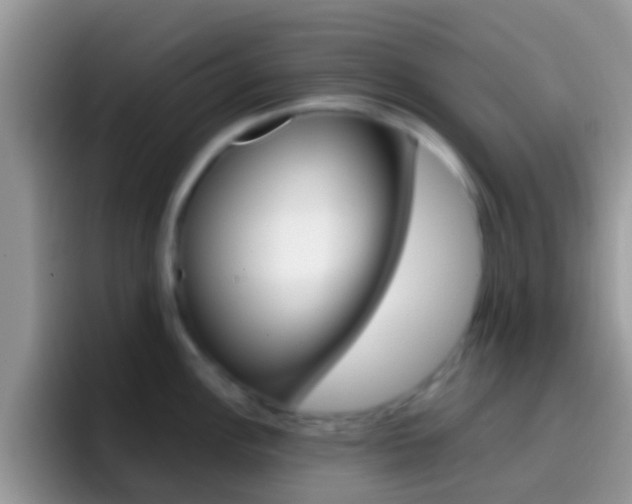 X0000097001148200802081023