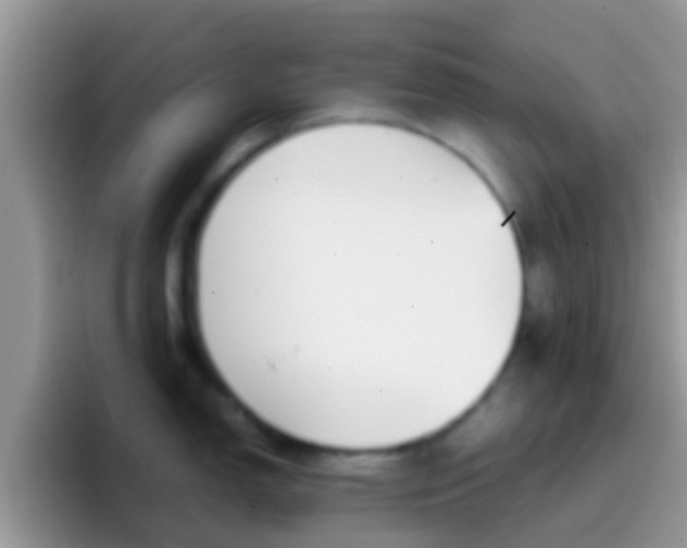 X0000097001150200802081023