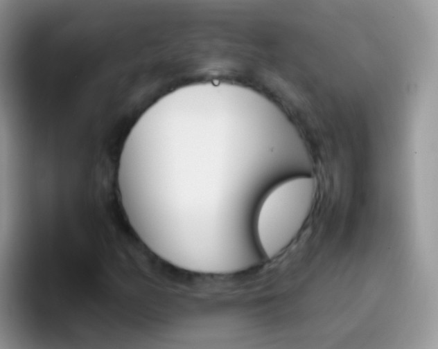 X0000097001158200802081022