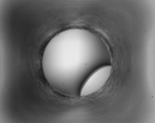 X0000097001159200802081022