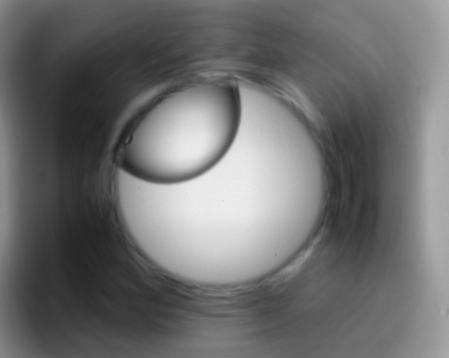 X0000097001164200802081022