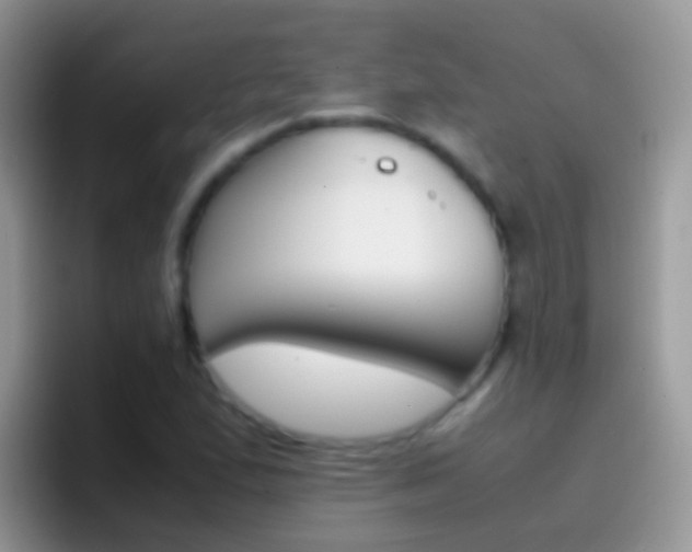 X0000097001167200802081022