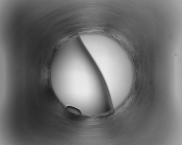 X0000097001169200802081022