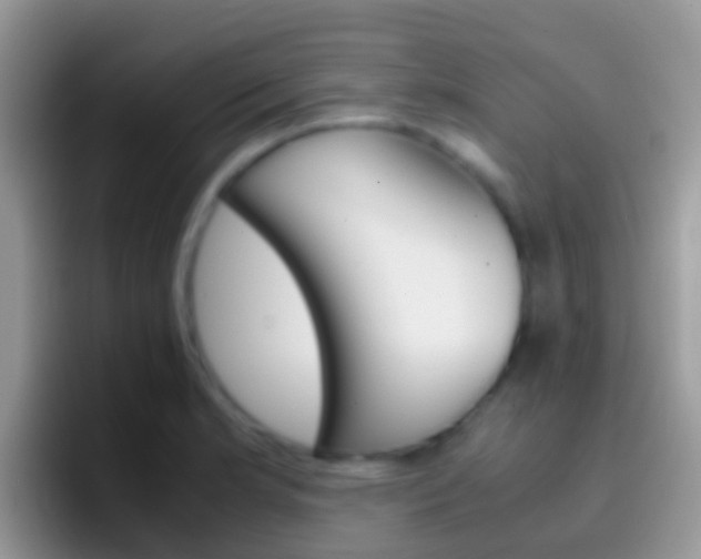 X0000097001181200802081022