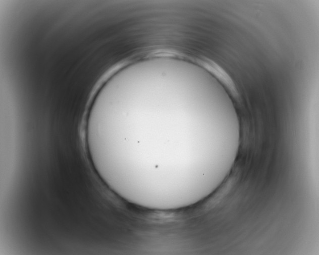 X0000097001190200802081022