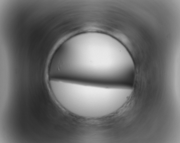 X0000097001191200802081022