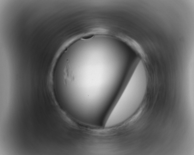 X0000097001192200802081022