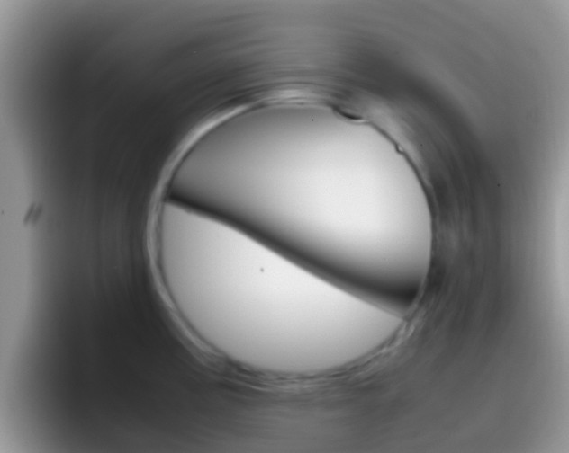 X0000097001195200802081022