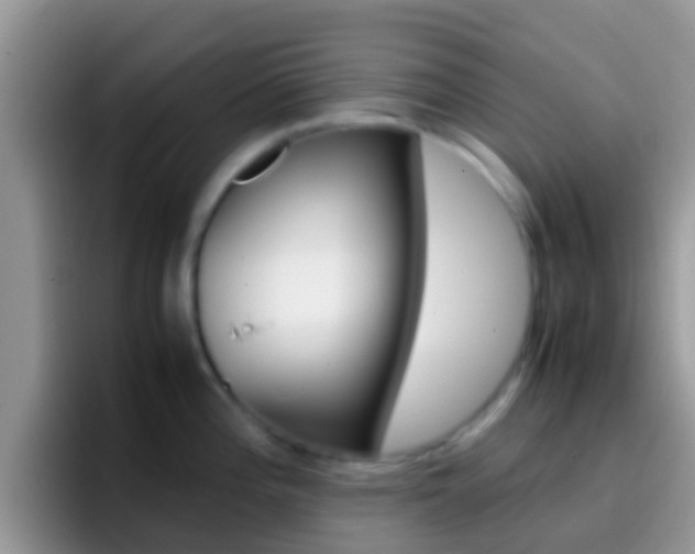 X0000097001196200802081022