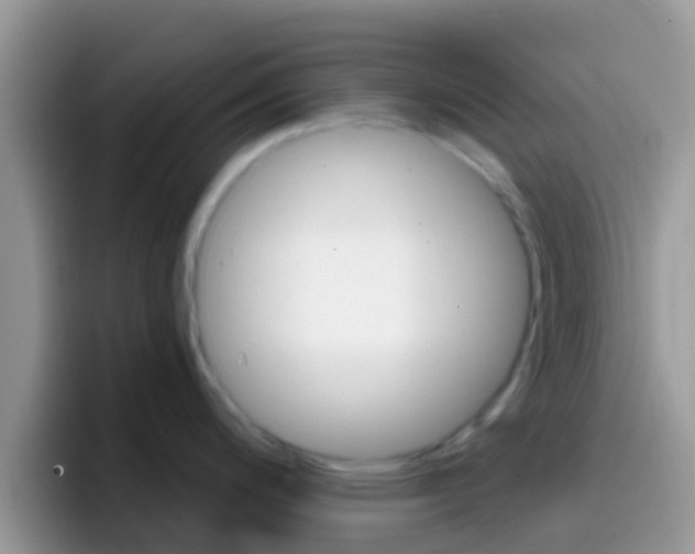 X0000097001200200802081022