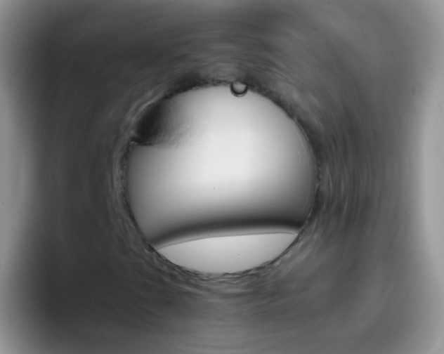 X0000097001201200802081021