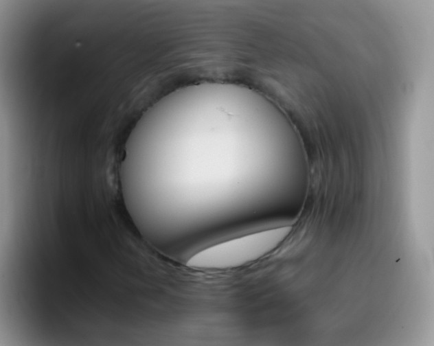 X0000097001202200802081021