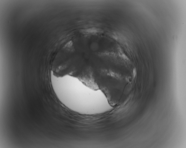 X0000097001203200802081021
