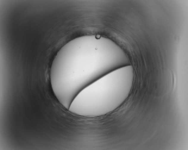 X0000097001204200802081021