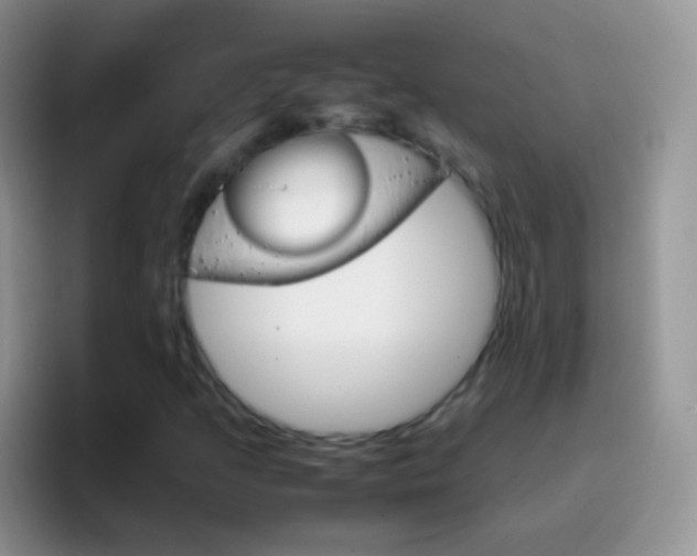 X0000097001205200802081021