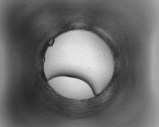 X0000097001207200802081021