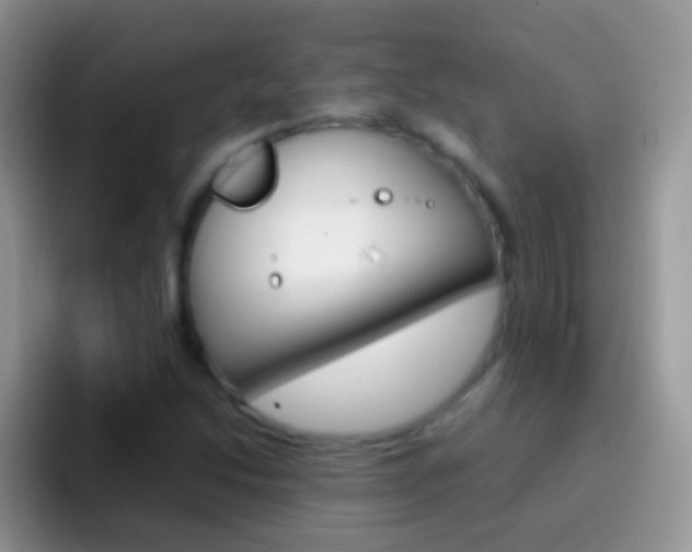 X0000097001214200802081021